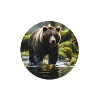 Brown Bear Pounce - Juego de 4 tarjetas aromáticas para colgar en el armario, baño, ambientadores de coche de larga duración