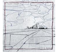 Brown Horse - Total Dive