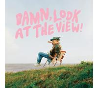 Brown,Martin Luke - Damn, Look At The View [Vinilo]