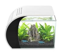 BRRIDE Juego completo de acuario de 19 l con iluminación LED y sistema de filtro integrado, tanque de cristal para acuario panorámico, parabrisas curvado