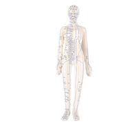 Brrnoo Modelo de Acupuntura de 20,5 Pulgadas, Modelo Preciso de Punto de Acupuntura Humano de Cuerpo Completo con Meridianos y Puntos de Presión Claramente Marcados, Brazos Giratorios (Femenino)