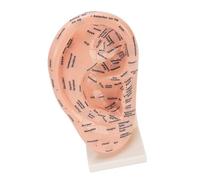 BRRNOO Modelo de Punto de Acupuntura de Oreja, Tabla de Reflexología de Oreja, Herramienta Auricular con Etiquetas Transparentes, ABS que No Se Decolora, para Salón de Belleza, Escuela