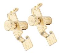 Brrnoo Sintonizador Fino de Erhu, Sintonizadores de Violín Accesorios de Instrumentos 2pcs Clips de Metal Profesional Ajustador de Ajuste Herramienta de Hardware para Erhu y Huqin, Gloden