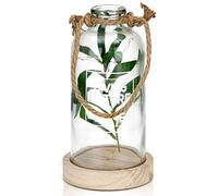 BRUBAKER botella luminosa 23 cm con ramas de olivo y 10 luces LED - para colgar