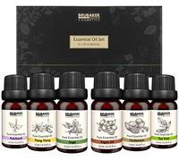 BRUBAKER Cosmetics Set de 6 Aceites Esenciales 6 x 10 ml Natural - Pachulí Salvia Ylang-Ylang Cardamomo Árbol de Té Argan - Para Difusor Humidificador Masaje Aromaterapia Cuidado del Cuerpo