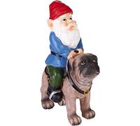 BRUBAKER Gnomo de Jardín con Perro - Gnomo Montado en Pug con Silla de Montar - Figurilla de Jardín Divertida - Resistente a la Intemperie para Jardín Camping Dueño de Perro - 26 cm