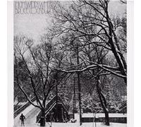 Bruce Cockburn High Winds White Sky (CD) Album