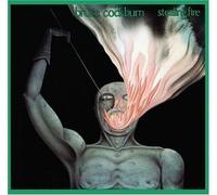 Bruce Cockburn - Stealing Fire