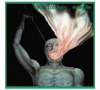 Bruce Cockburn - Stealing Fire