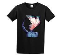 Bruce Cockburn Stealing Fire Mens T-Shirt Black Unisex tee S