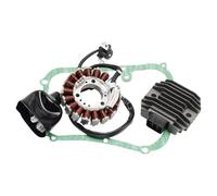 Bruce & Shark 18-Pole Stator Regulator Rectifier Gasket para Yamaha Xmax 250 para XCity 250 07-16