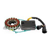 Bruce & Shark Magneto Stator+Voltage Rectifier+Gasket para Kawasaki Ninja ZX9R ZX-9R 2000-2003