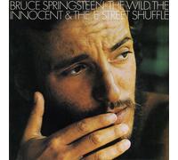 Bruce Springsteen Wild the Willing & E Street (CD) (Importación USA)