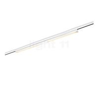 Bruck Asta foco de superficie LED para Duolare Riel, blanco - prisma