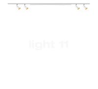 Bruck Asta Prism y Fino, Spot LED All-in set - 5 focos, blanco - cabezal blanco/dorado