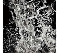 BRUIT - MONOLITH