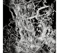 Bruit - Monolith Ep (the Fall Clear Vinyl ed.) [Vinilo]