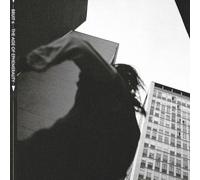 BRUIT – THE AGE OF EPHEMERALITY – The Orchard