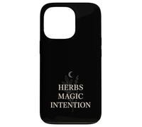 Bruja Herbolaria Herbolaria Magia Bruja Verde Bruja Botánica Carcasa para iPhone 13 Pro