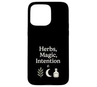 Bruja Herbolaria Herbolaria Magia Bruja Verde Bruja Botánica Carcasa para iPhone 15 Pro Max