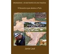 Brumadinho _ Os Bastidores De Uma Tragédia (ebook)