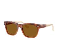 Brunello Cucinelli Unisex Sunglass BC4003SM - Color del Marco: Havana Fiamma, Color de la Lente: Terracota
