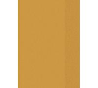 Brunnen 104050440 - Funda para cuaderno (A4, lámina transparente, con etiqueta para nombre en el bolsillo), color naranja