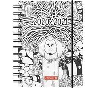 BRUNNEN 1071750191 ZENart - Agenda escolar 2020/2021, 1 página = 1 día, sáb. + en una página, tamaño de la hoja 12 x 16 cm, A6, cubierta de polipropileno