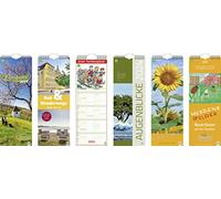 BRUNNEN Calendario mensual 2024 1 página = 1 mes 15,5 x 48 cm, color blanco