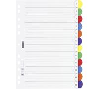 Brunnen Folder/Ring Binder Office to go/PP/A4 225 x 297 mm Pack of 12 1 12-teili