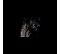 Brunnen - The Garden Of Perpetual Dreams [Vinilo]