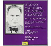 Bruno Walter - Bruno Walter Conducts Haydn, Schubert and J Strauss