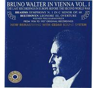 Bruno Walter In Vienna