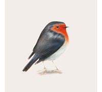 Brunori Sas - Cip! [Vinilo]