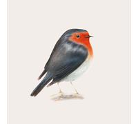 Brunori Sas - Cip! [Vinilo]