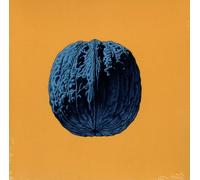 BRUNORI SAS - El Árbol De Las Nueces (2025) CD