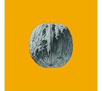 Brunori Sas - L'Albero Delle Noci - Deluxe Colored Vinyl [Vinyl LP] [VINYL] [Vinilo]