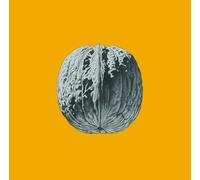 Brunori Sas - L'Albero Delle Noci - Deluxe Colored Vinyl [Vinyl LP] [VINYL] [Vinilo]