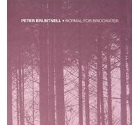 Bruntnell Peter - Normal For Bridgwater (Ltd RSD 2020 LP) [Vinilo]