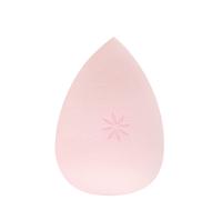 brushworks Complexion Sponge