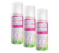 Brushworks Refresh & Revitalise Fruity Watermelon Dry Shampoo - 50ml (Paquete de 3)