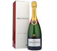 Brut Special Cuvee Magnum Champán NV