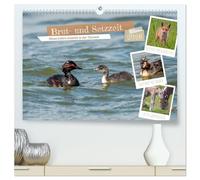 Brut- und Setzzeit. Neues Leben entsteht. (hochwertiger Premium Wandkalender 2026 DIN A2 quer), Kunstdruck in Hochglanz: Im Frühling erwacht die Natur ... entfaltet sich in Wiese, Wald und Wasser.