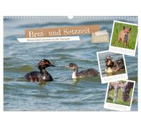 Brut- und Setzzeit. Neues Leben entsteht. (Wandkalender 2026 DIN A3 quer), CALVENDO Monatskalender: Im Frühling erwacht die Natur - Rehe setzen ihre ... entfaltet sich in Wiese, Wald und Wasser.
