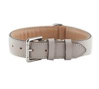 Brute Strength - Lujoso Collar de Cuero para Perros - Gris Claro - XL - (56-63) x 3,5 cm