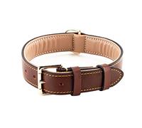 Brute Strength - Lujoso Collar de Cuero para Perros - Marrón - XXL - (66-73) x 3,5 cm