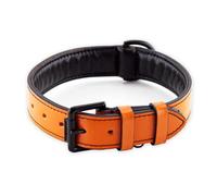 Brute Strength - Lujoso Collar de Cuero para Perros - Naranja - L - (46-53 cm) x 3,5cm