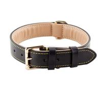 Brute Strength - Lujoso Collar de Cuero para Perros - Negro con Costuras Amarillas - L - (46-53 cm) x 3,5 cm