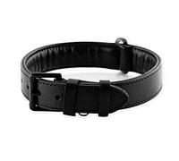 Brute Strength - Lujoso Collar de Cuero para Perros - Negro con Costuras Negras - XXL - (66-73) x 3,5 cm