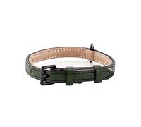 Brute Strength - Lujoso Collar de Cuero para Perros - Verde Oscuro - S - (26-33 cm) x 1,5cm